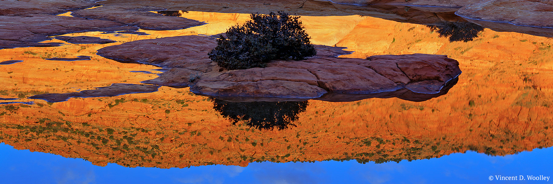Photographic artist: Vincent D. Woolly, “Pool Reflection.” Copyright ownerlicensor: Vincent D. Woolley. Copyright licensee: Neil H. Lebowitz.